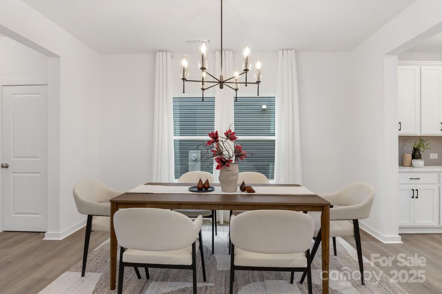 Representative Photo