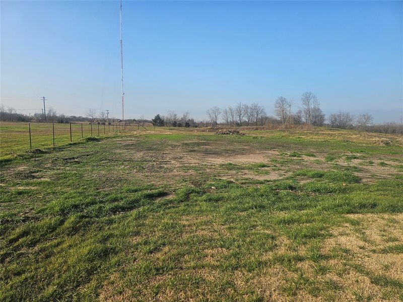 View of the back yard