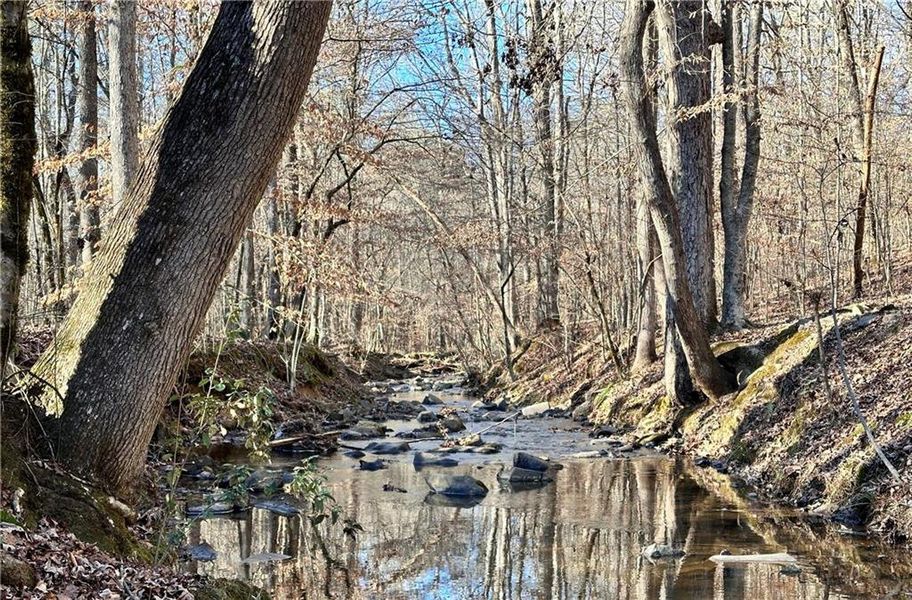 Natural landscape and outdoor views near  in Cumming (Image 8).