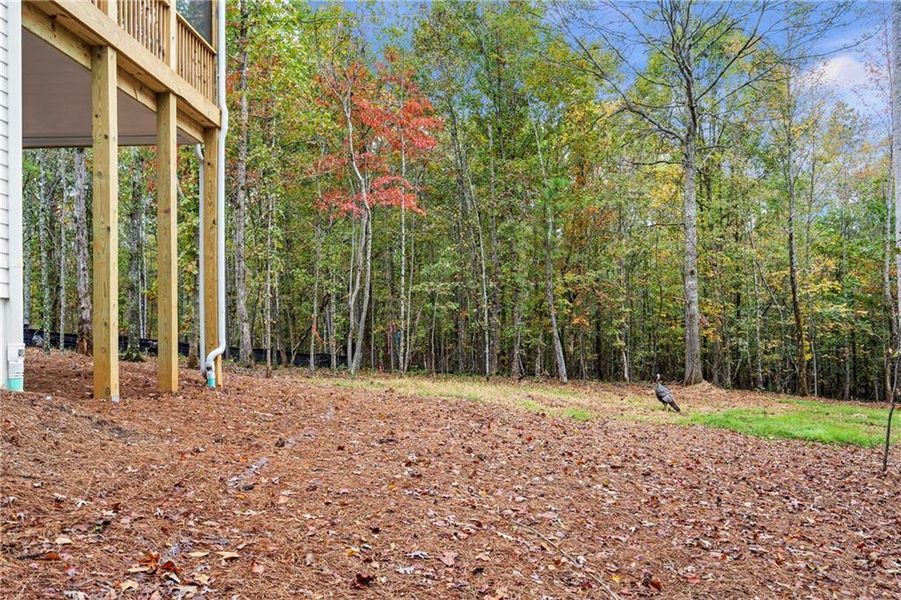 Image 42 of a home in Aster. Image 42 of a home in Aster.