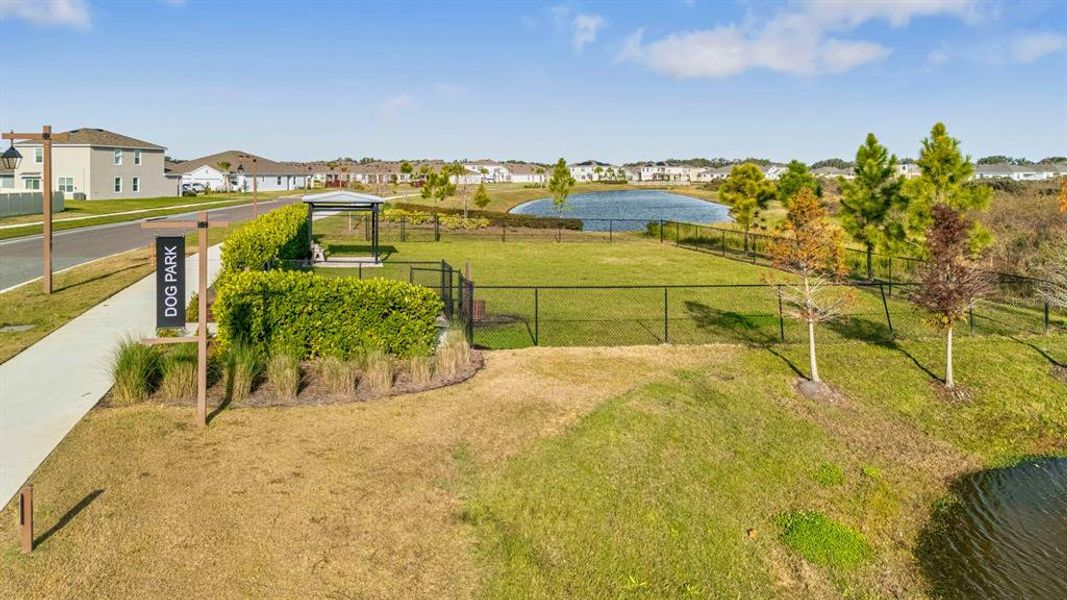 Community amenities in Farm at Varrea, Plant City (Image 46). Community amenities in Farm at Varrea, Plant City (Image 46).
