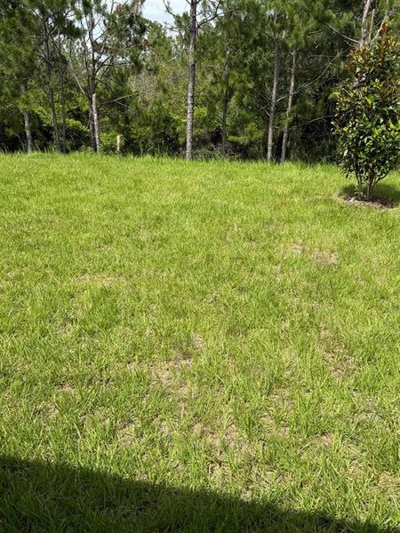 Natural landscape and outdoor views near  in Clermont (Image 21).