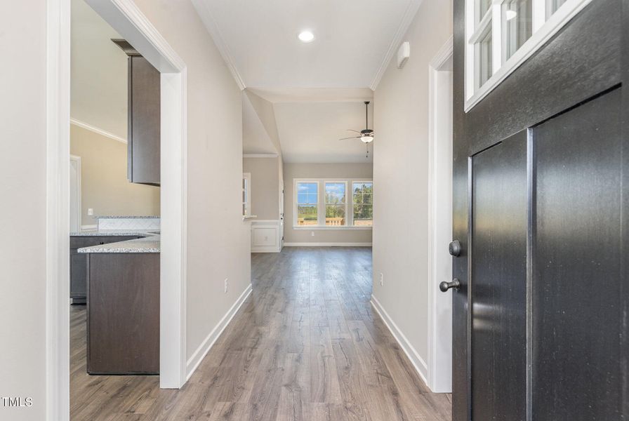 005_dsc00188-edit_905 005_dsc00188-edit_905