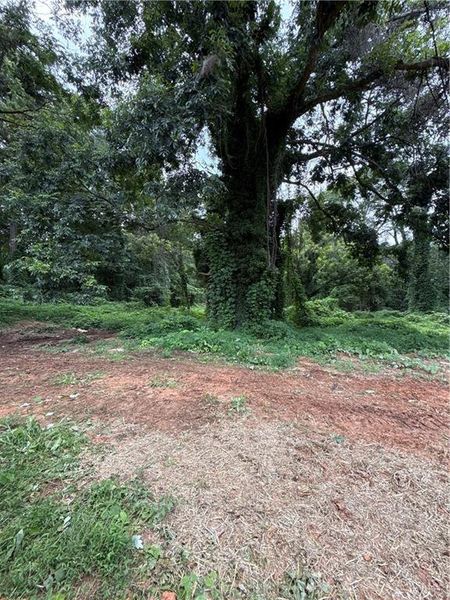 Natural landscape and outdoor views near in Toccoa (Image 22). Natural landscape and outdoor views near in Toccoa (Image 22).