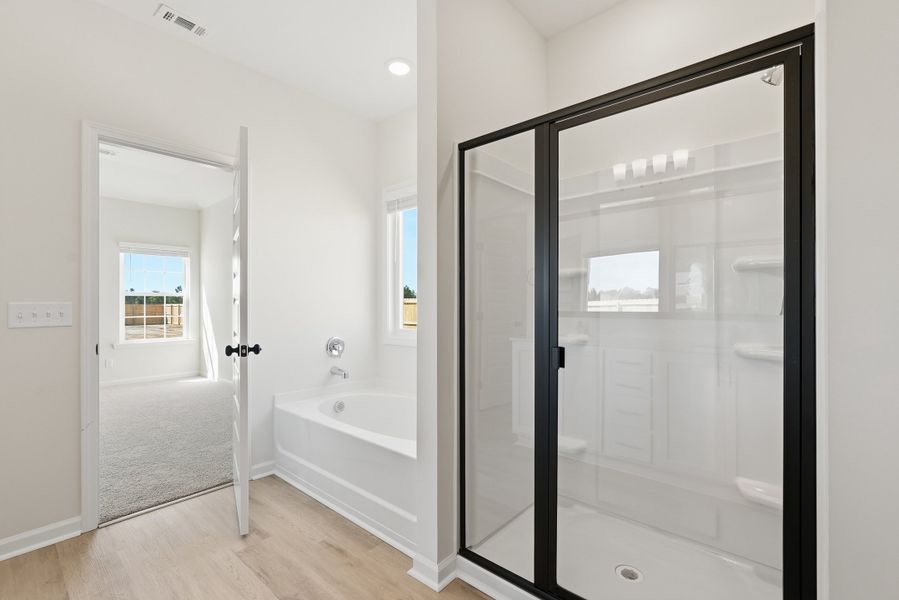 Representative furnished interior of a home built from the The Jackson by RTS Homes in Tibet Road at Sassafras, Allenhurst (Image 13). Representative furnished interior of a home built from the The Jackson by RTS Homes in Tibet Road at Sassafras, Allenhurst (Image 13).