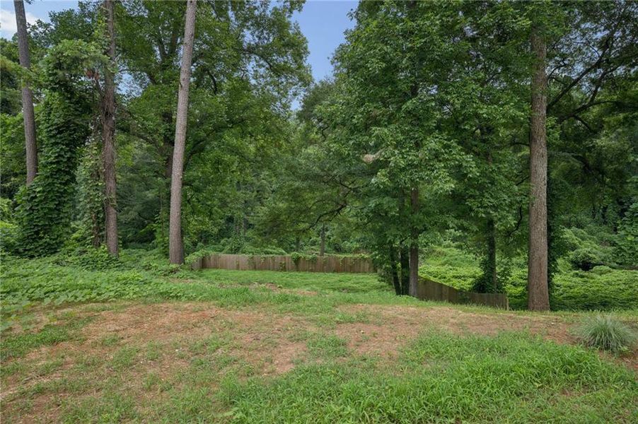 Natural landscape and outdoor views near in Atlanta (Image 25). Natural landscape and outdoor views near in Atlanta (Image 25).