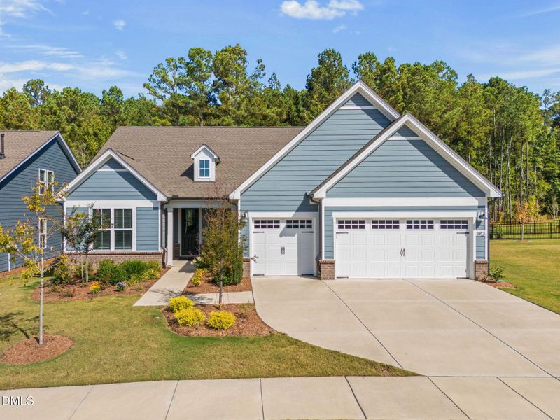 1913 Bigleaf Maple Run 1913 Bigleaf Maple Run