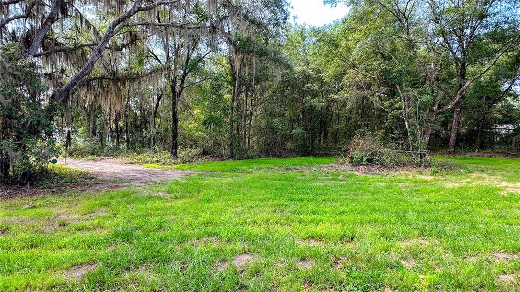 Natural landscape and outdoor views near  in Satsuma (Image 30).