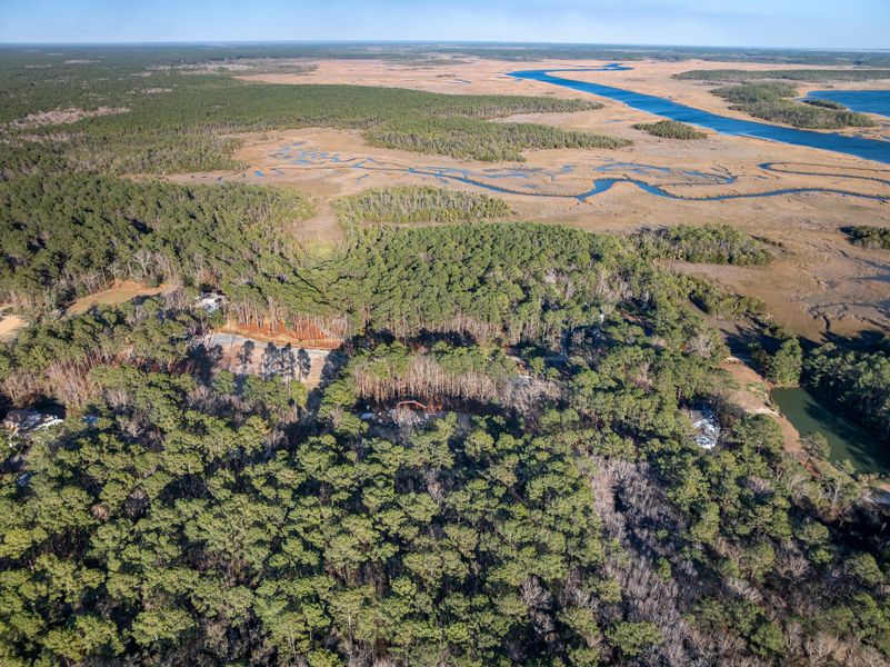 Natural landscape and outdoor views near  in Charleston (Image 19).