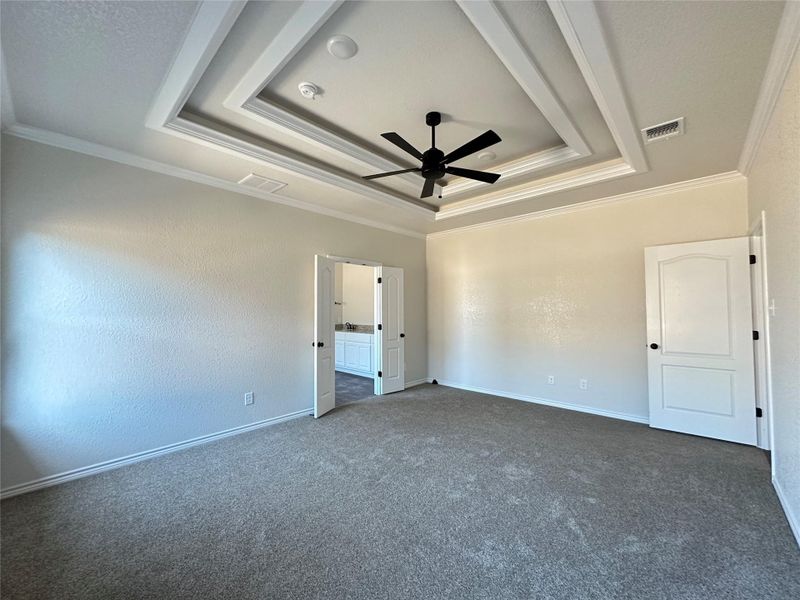 Unfurnished bedroom with ornamental molding, carpet, ceiling fan, and a textured wall