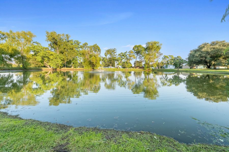 Natural landscape and outdoor views near  in Point Blank (Image 42).