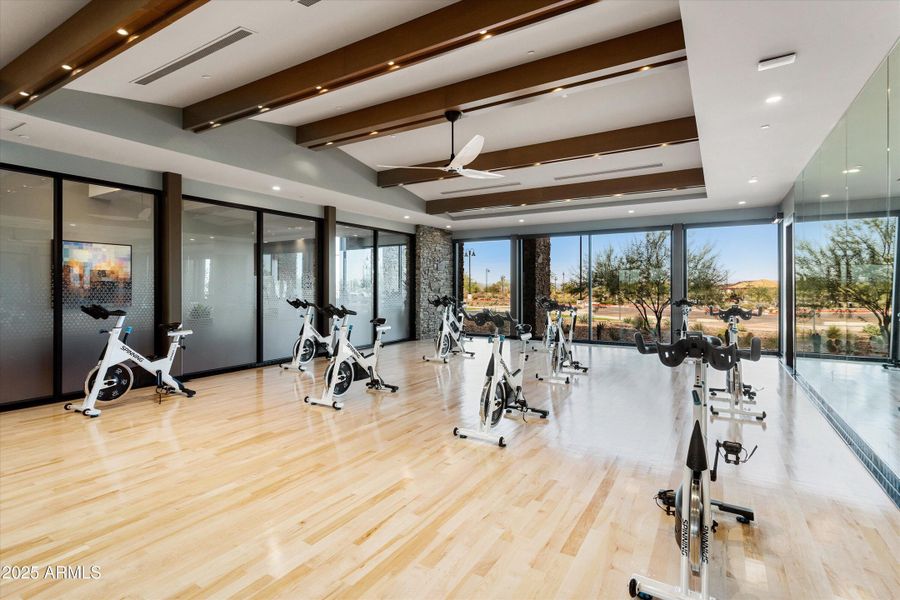 49-Saguaro-Sun City Festival 49-Saguaro-Sun City Festival