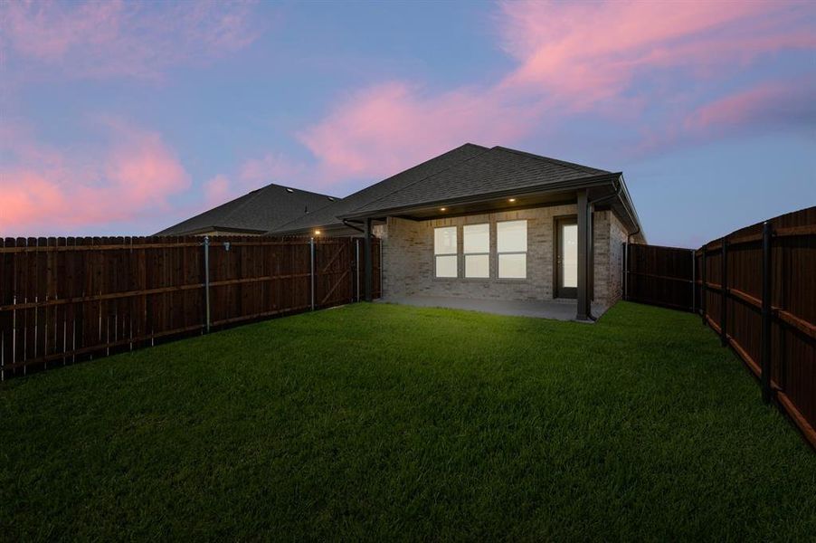 2845 Holstein- Back-2