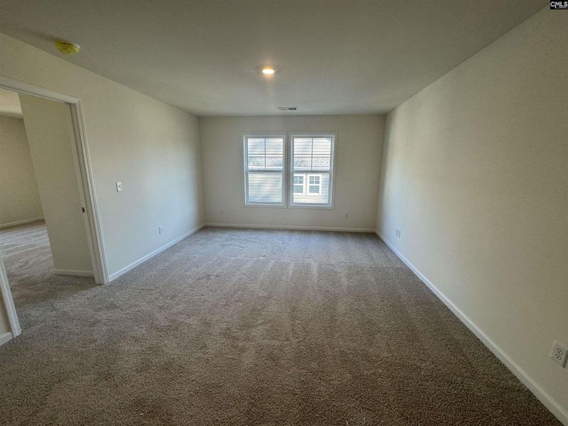 Spacious, unfurnished interior of a new home in Boykin Hills, Chapin (Image 16).