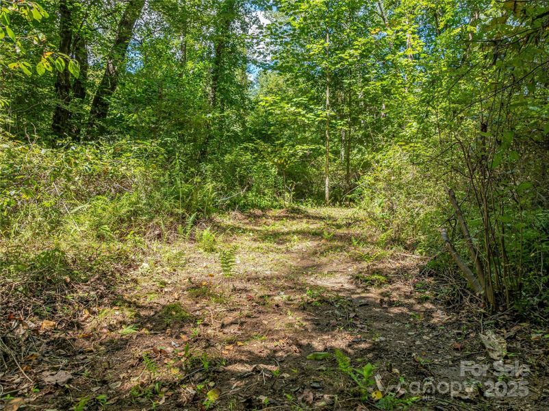 Natural landscape and outdoor views near  in Arden (Image 9).