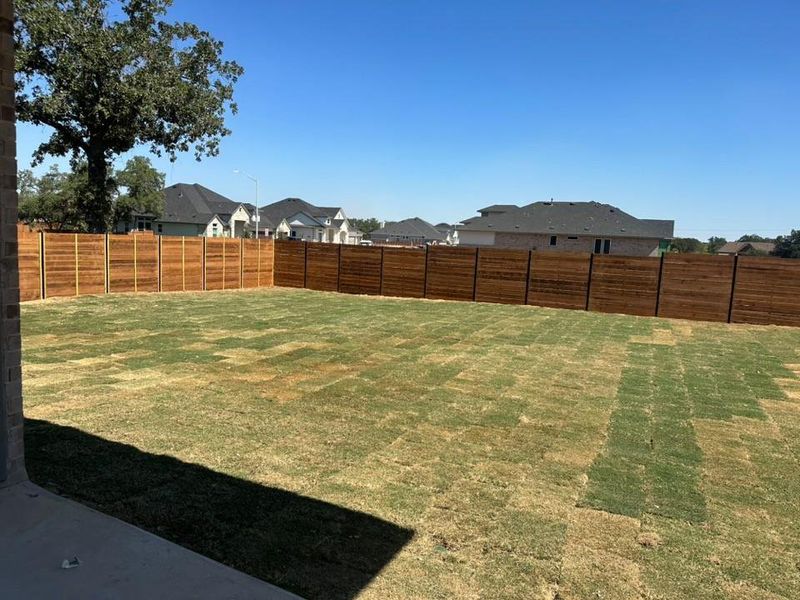 Fenced backyard with a residential view Fenced backyard with a residential view