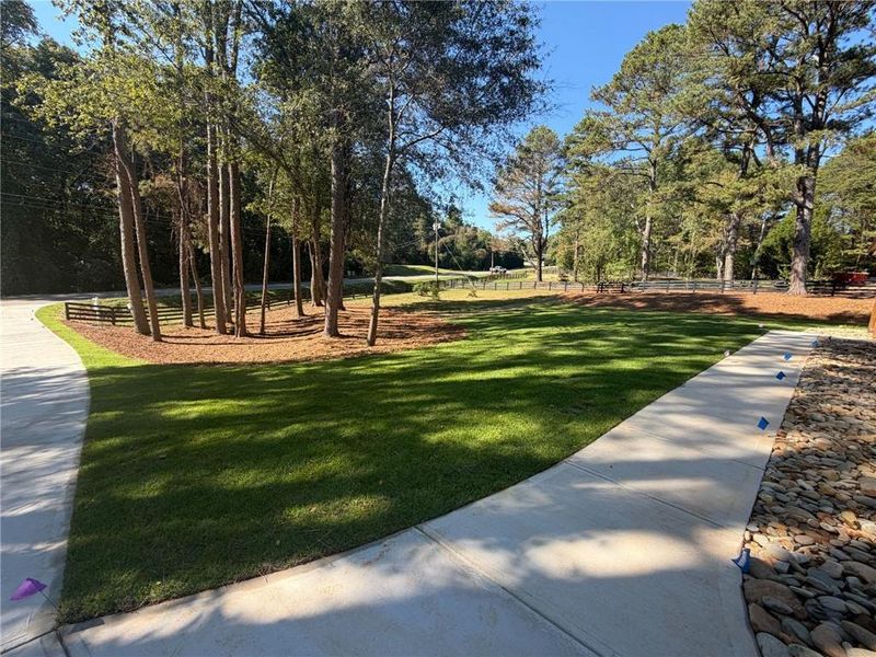 Natural landscape and outdoor views near  in Ball Ground (Image 65).
