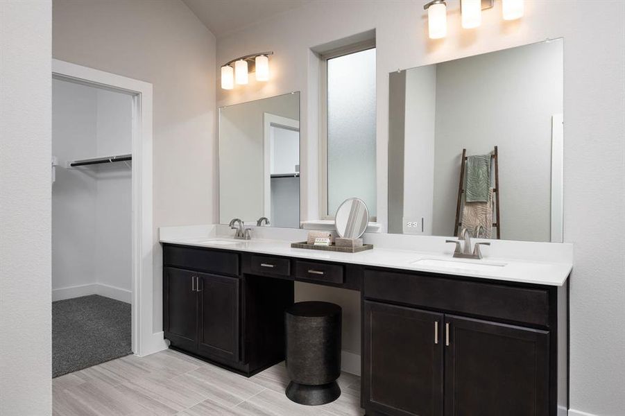 Discovery Collection at Painted Tree