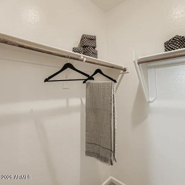 Owners Walk in Closet