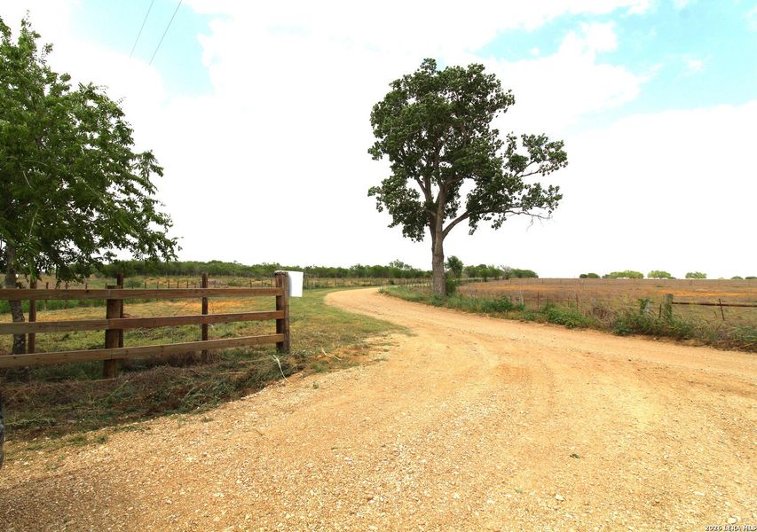 Natural landscape and outdoor views near  in Floresville (Image 39).