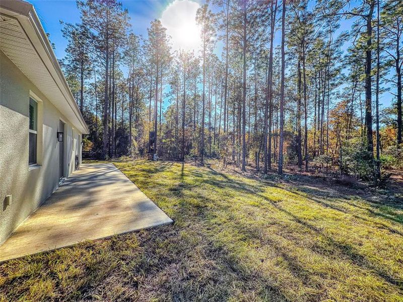 Exterior details and patio area of a home in , Ocala (Image 30).
