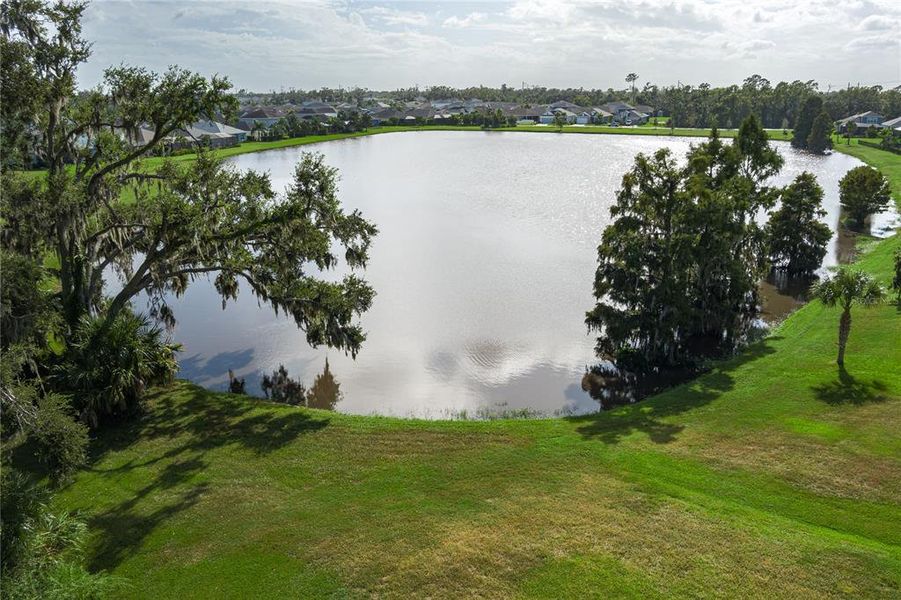 Natural landscape and outdoor views near  in Parrish (Image 48).