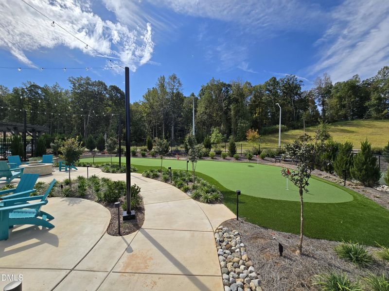 1000015344 1000015344