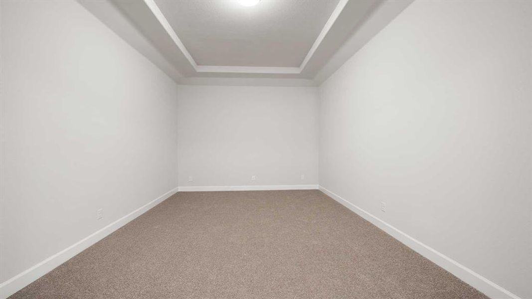 Carpeted empty room with a raised ceiling