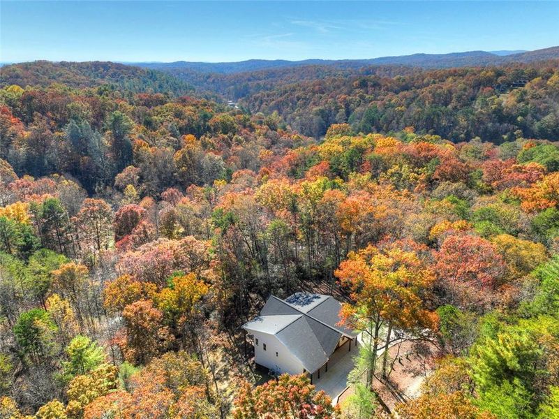 Natural landscape and outdoor views near  in Ellijay (Image 36).