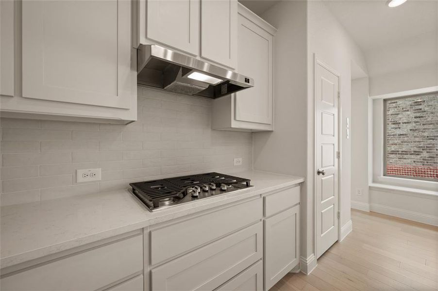 05_920 Apeldoorn Trl, Little Elm