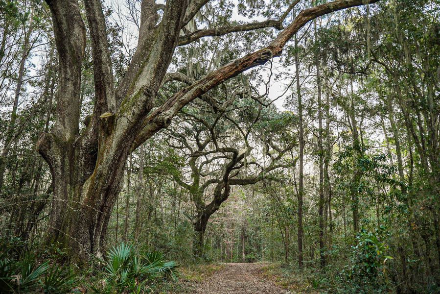 Natural landscape and outdoor views near in Dorchester (Image 19). Natural landscape and outdoor views near in Dorchester (Image 19).