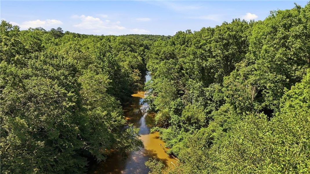 Natural landscape and outdoor views near  in Conyers (Image 25).