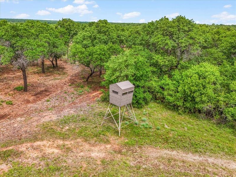 Natural landscape and outdoor views near  in Ranger (Image 15).