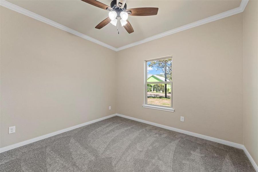 Carpeted empty room with ornamental molding and a ceiling fan