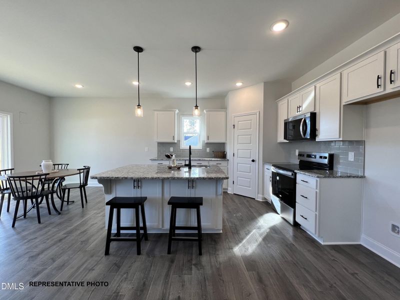 Representative Photo