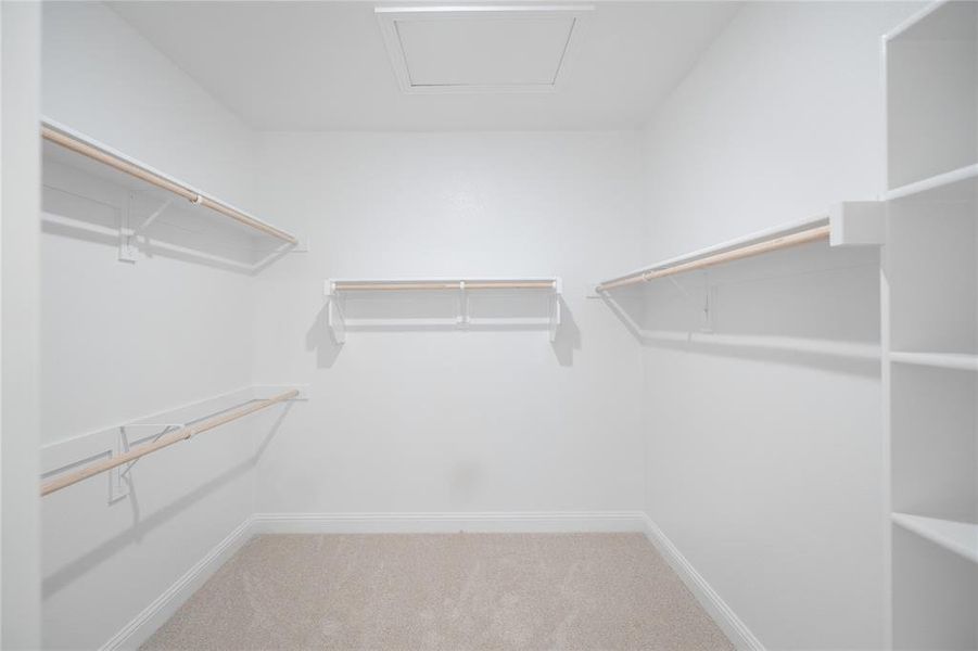 Primary Closet