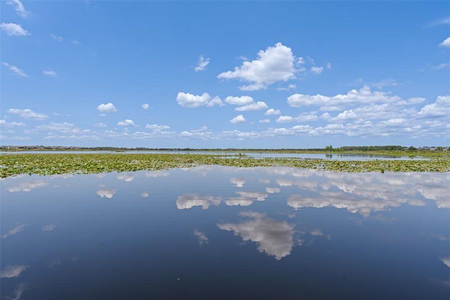 Natural landscape and outdoor views near Epperson in Wesley Chapel (Image 51). Natural landscape and outdoor views near Epperson in Wesley Chapel (Image 51).
