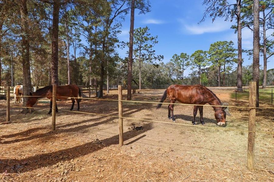 Image 49 of a home in .
