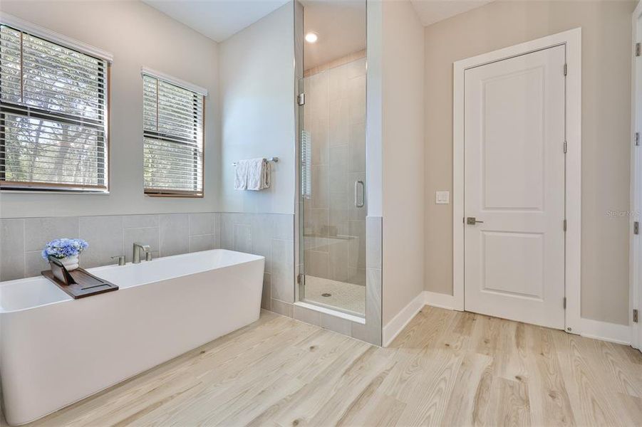 Furnished interior view inside a new home in Bella Terra, Hudson (Image 30).