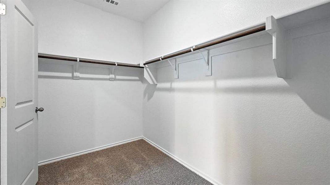 Walk-in closet featuring white walls, deep brown carpeting, and extensive built-in shelving with hanging rods