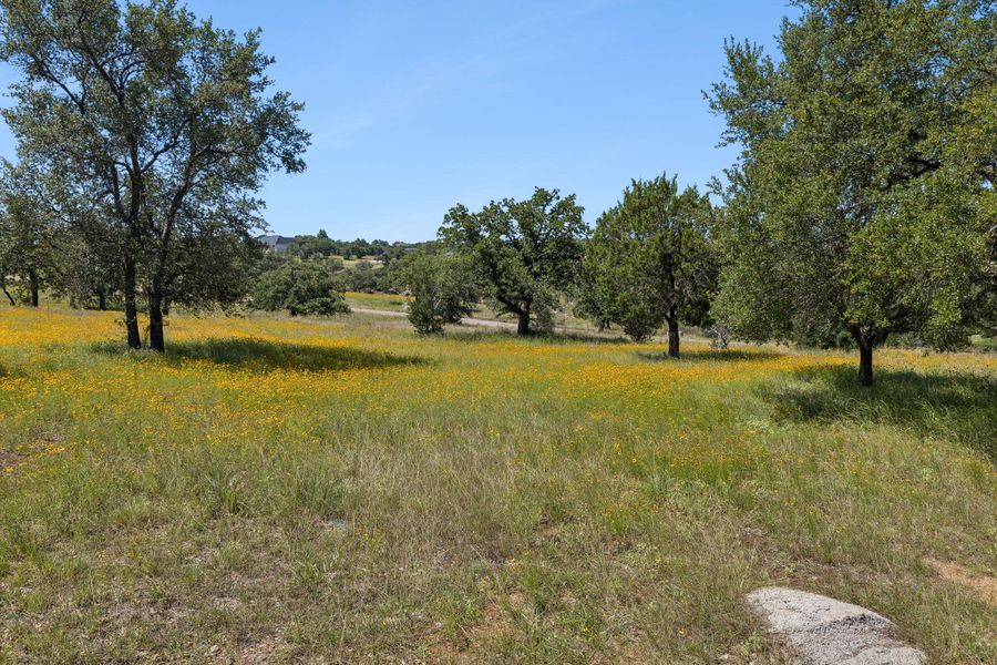 Natural landscape and outdoor views near  in Horseshoe Bay (Image 18).