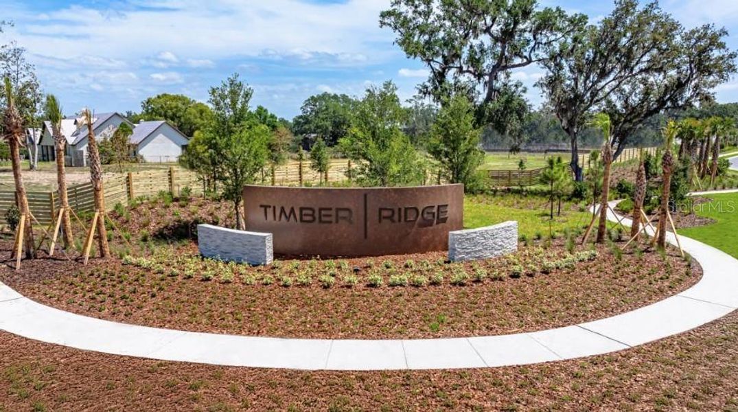 Timber Ridge