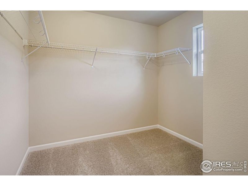 Primary walk-in closet