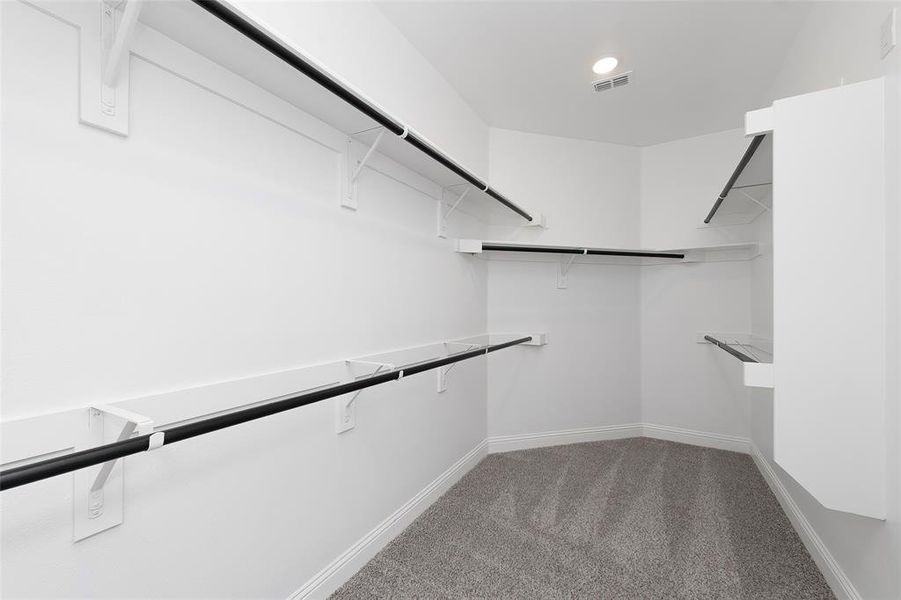 Spacious closet featuring carpet flooring Spacious closet featuring carpet flooring