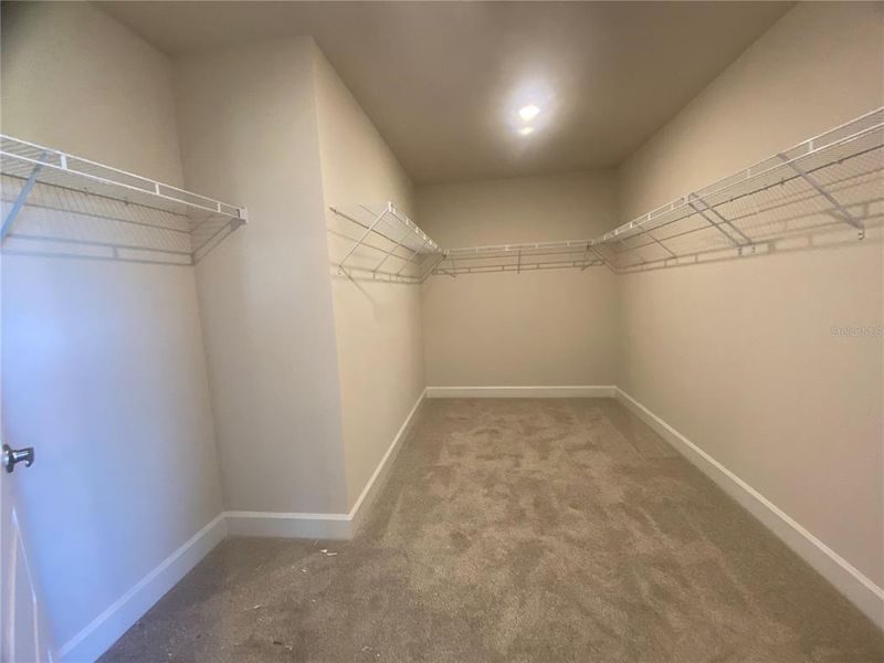 Spacious, unfurnished interior of a new home in Harmony Central, Harmony (Image 29). Spacious, unfurnished interior of a new home in Harmony Central, Harmony (Image 29).