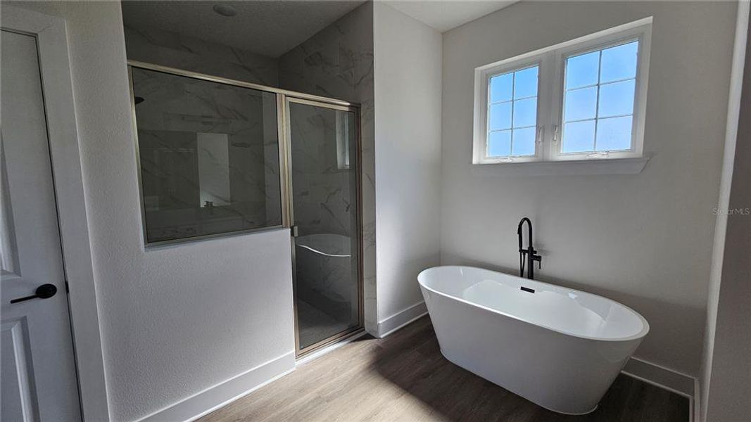 Furnished interior view inside a new home in , Port Charlotte (Image 4).