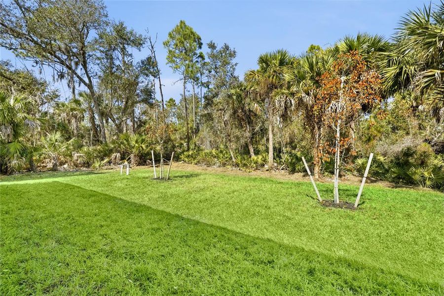 Natural landscape and outdoor views near  in North Port (Image 32).
