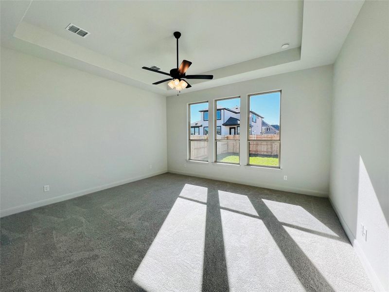 Spare room with a raised ceiling, carpet flooring, and a ceiling fan