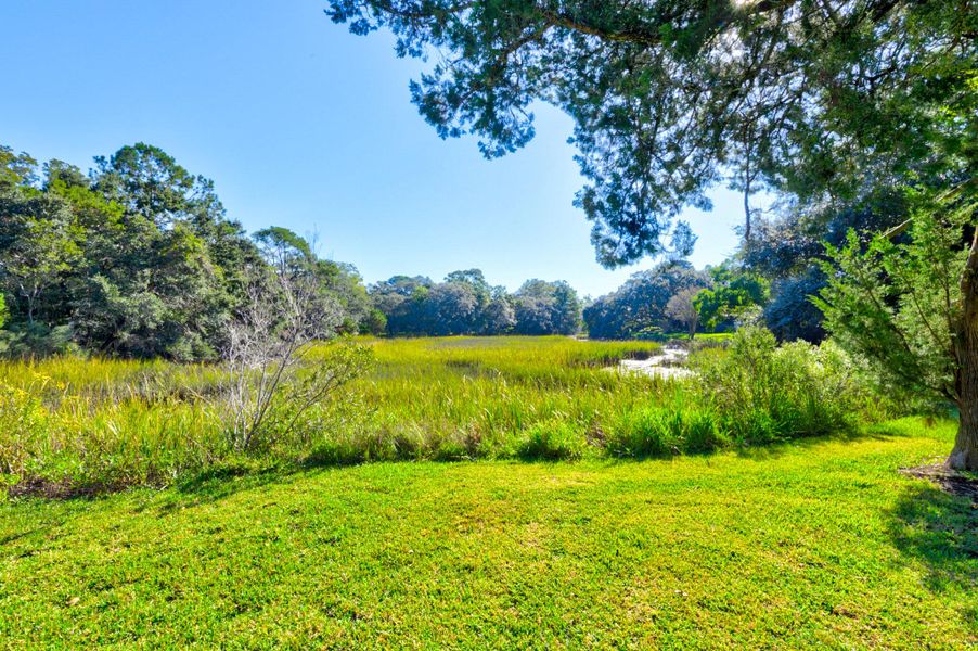Natural landscape and outdoor views near  in Charleston (Image 49).