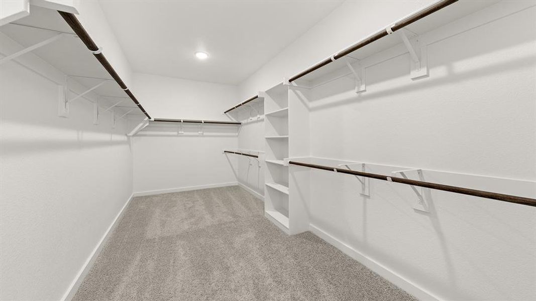 Olive Primary Closet Olive Primary Closet